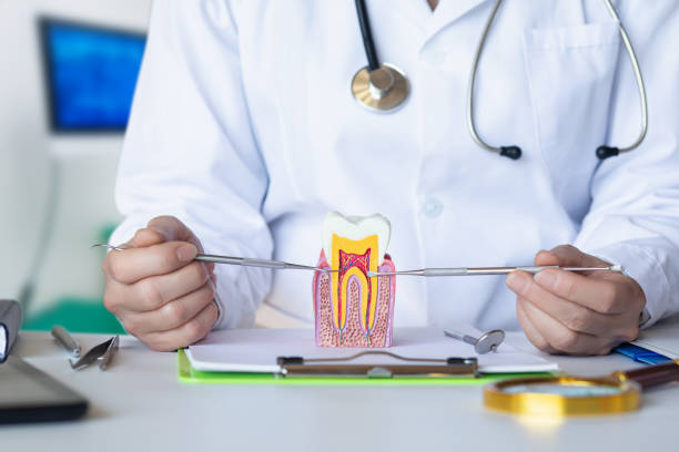 Best Orthodontic Emergency Dentist in Centralia, MO
